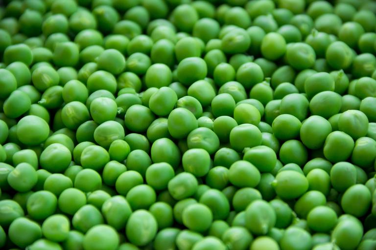Peas Kelvedon Kigondoro (green)