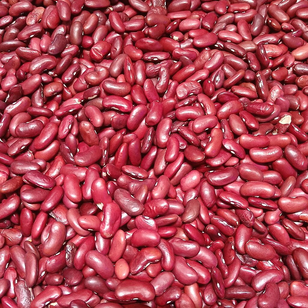 Kidney beans