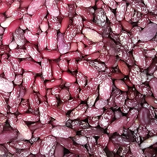 [Farm01] Nyayo Beans