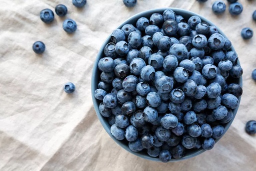 [farm19] BlueBerries (Wild)