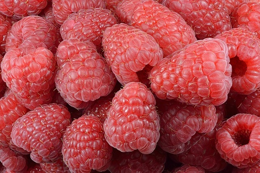 [farm10] Raspberry