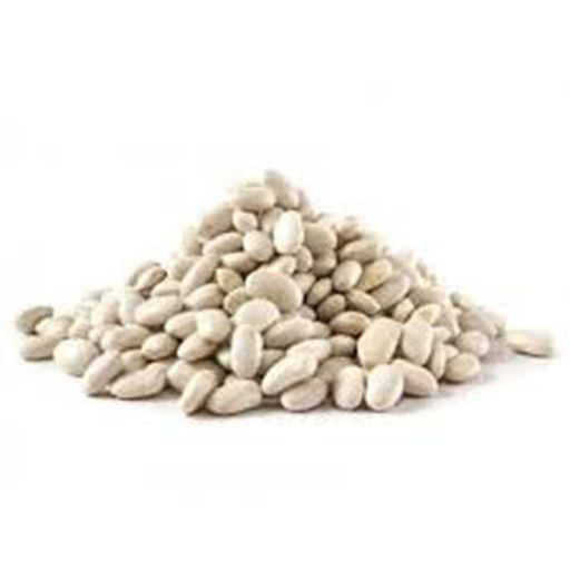 [farm21] Butter Bean (Noe)