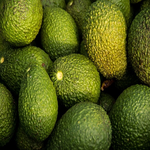 [farm22] Avocado